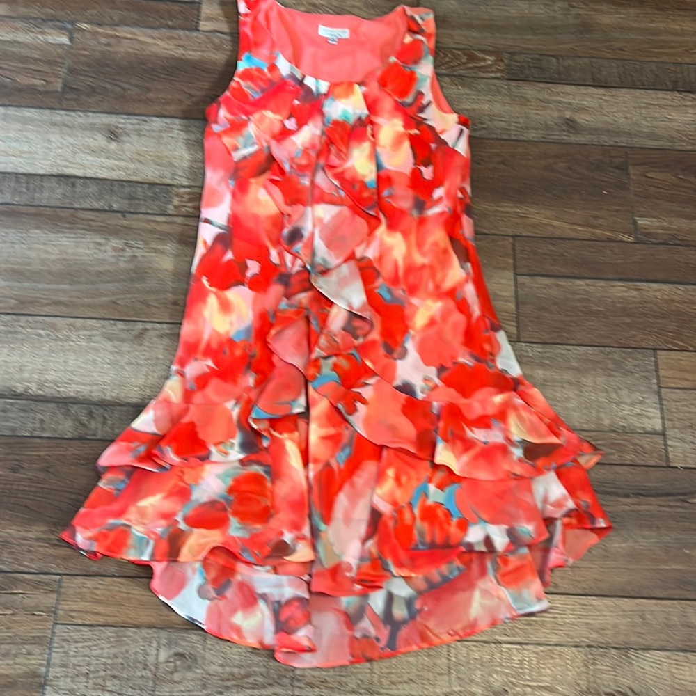 Signature by Robbie Bee dress